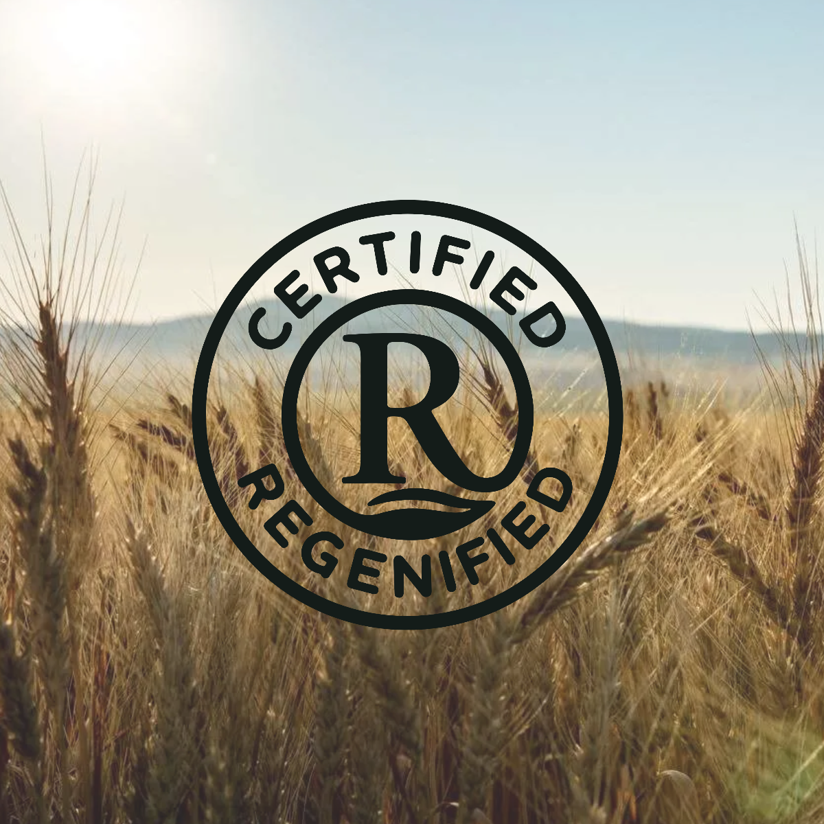 Regenerative White Whole Wheat Flour