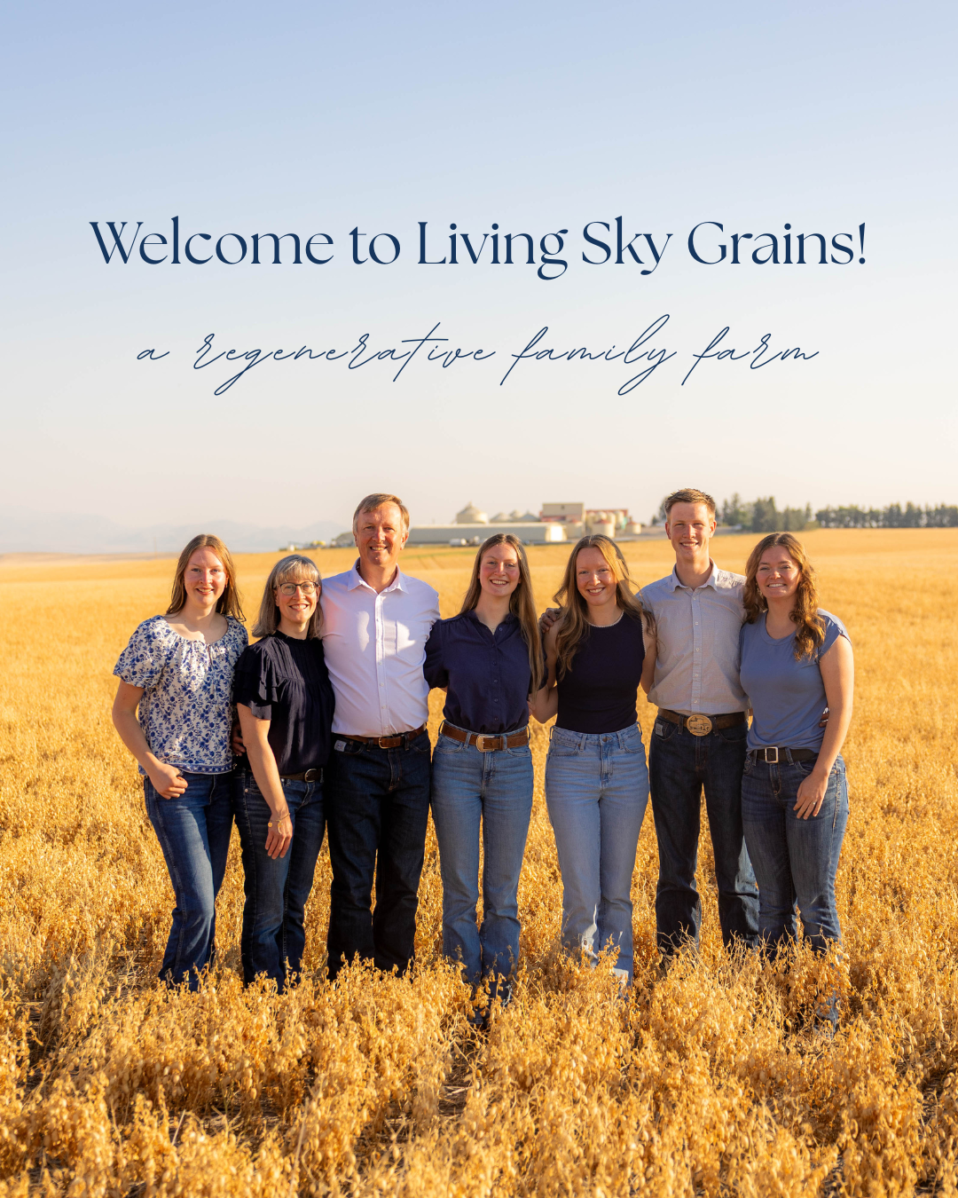 Regenerative White Whole Wheat Flour