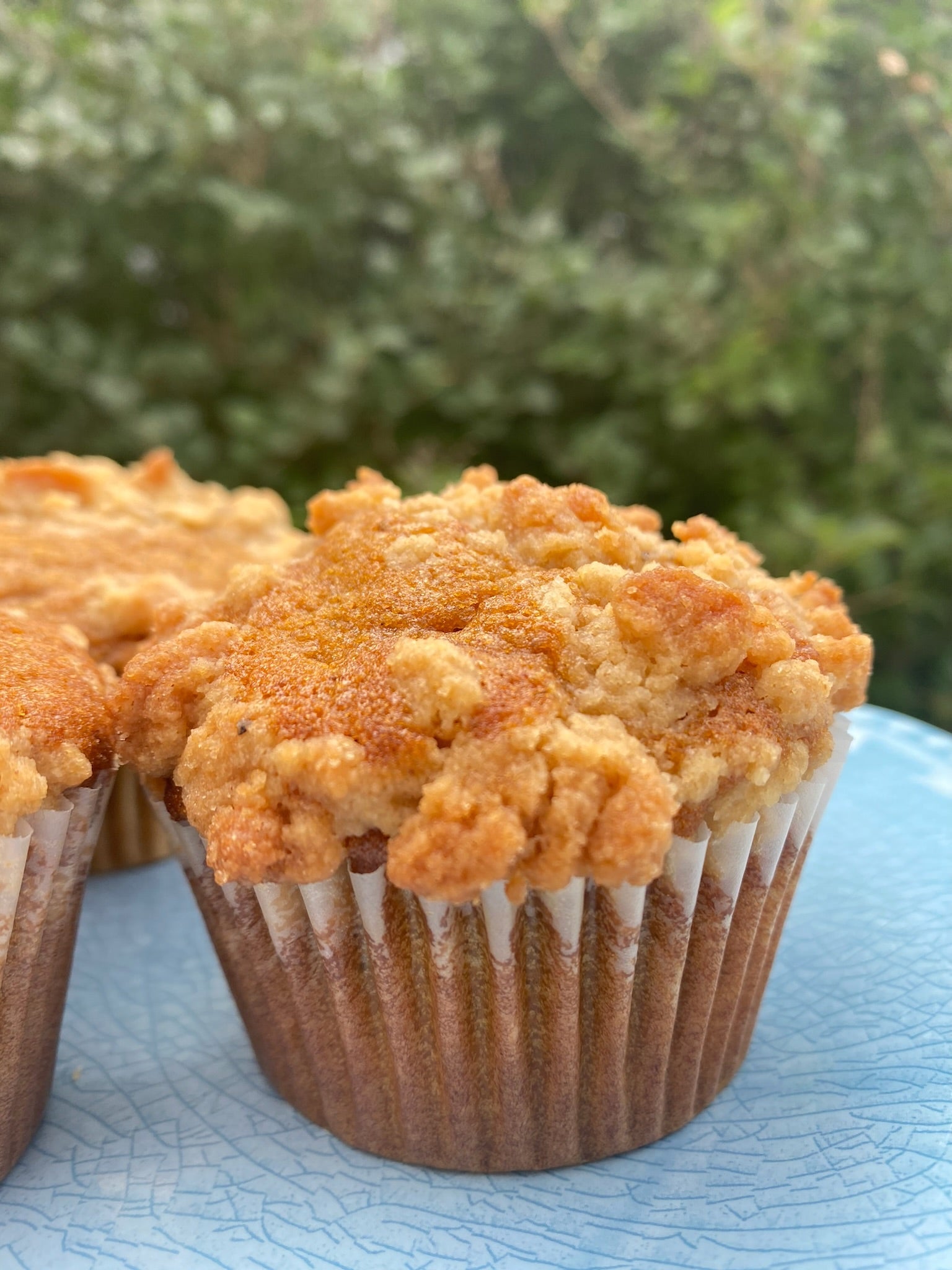 Pumpkin Coffee Cake Muffins