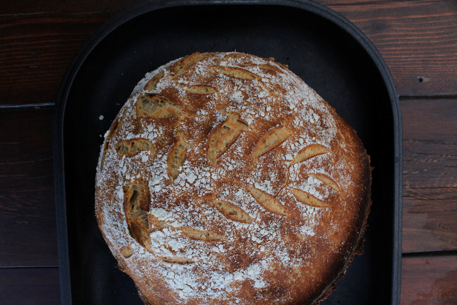 Beginner Sourdough Bread
