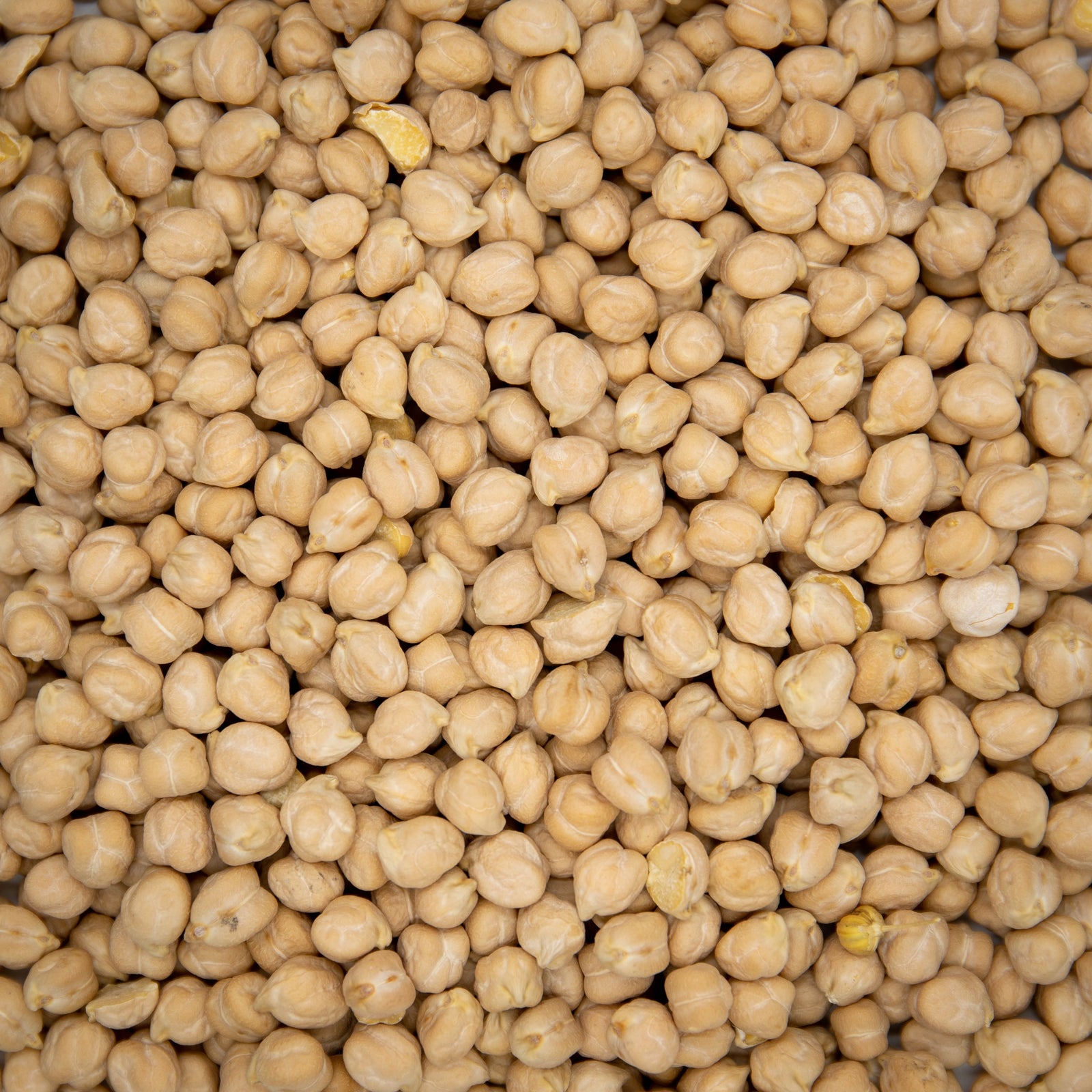 How to Cook Chickpea Garbanzo Beans