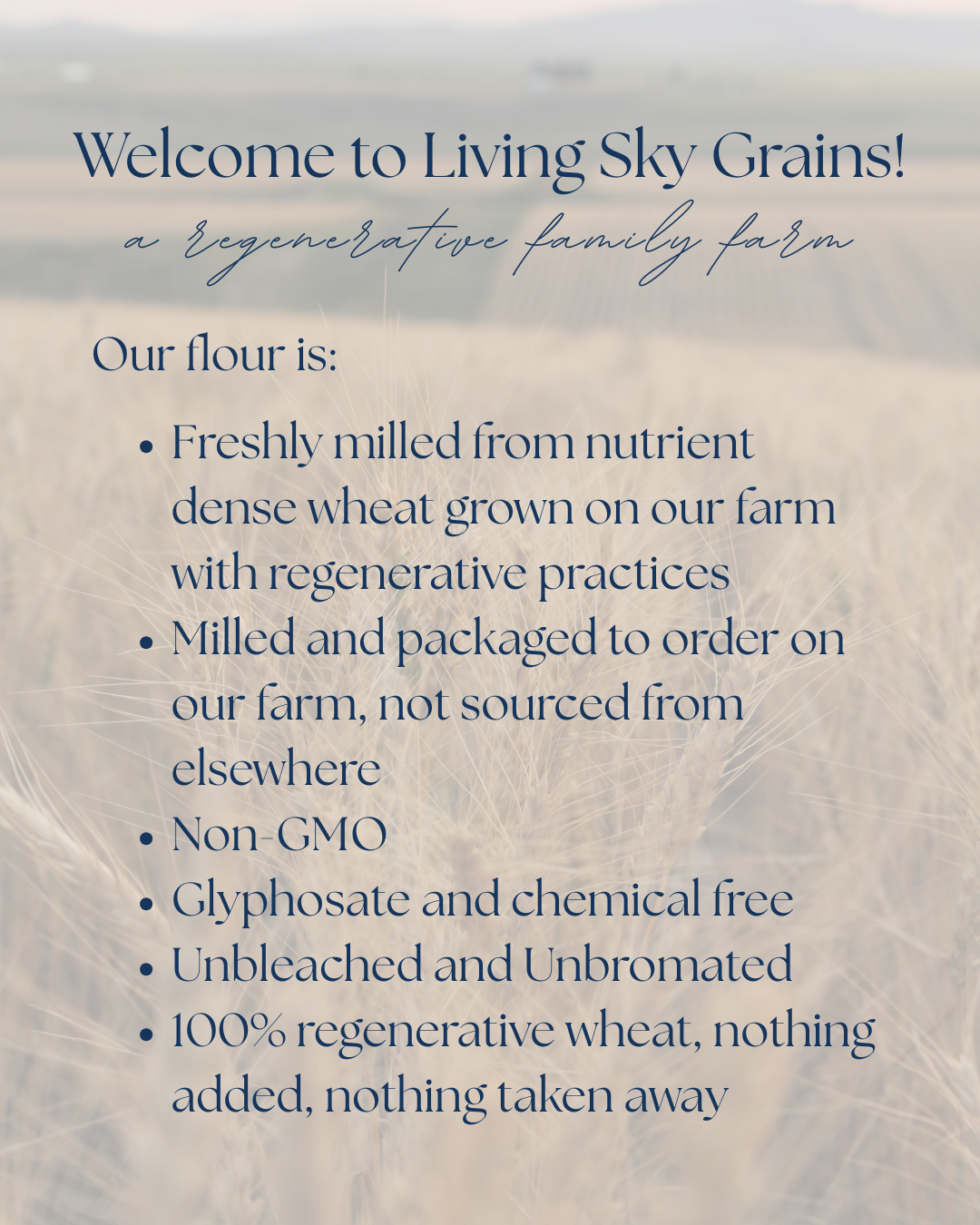 Regenerative White Whole Wheat Flour