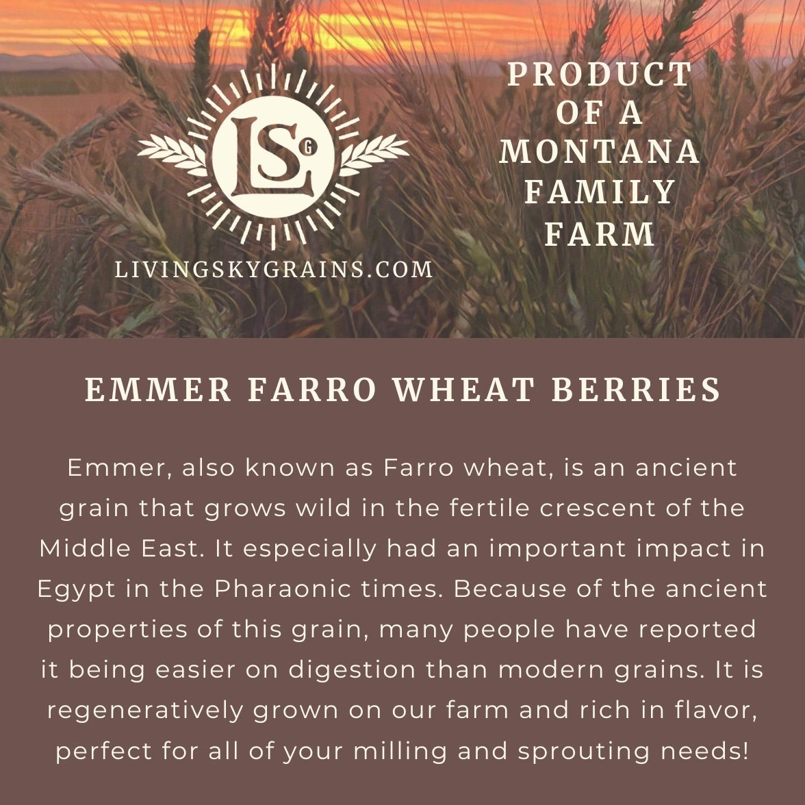 Regenerative Emmer Farro Wheat Berries