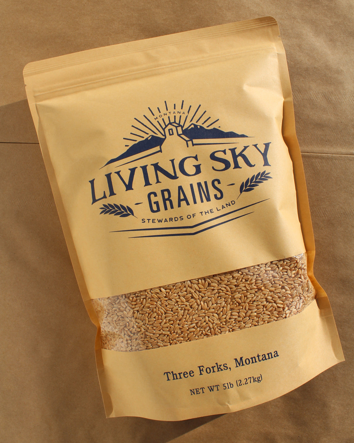 Regenerative Hard White Wheat Berries