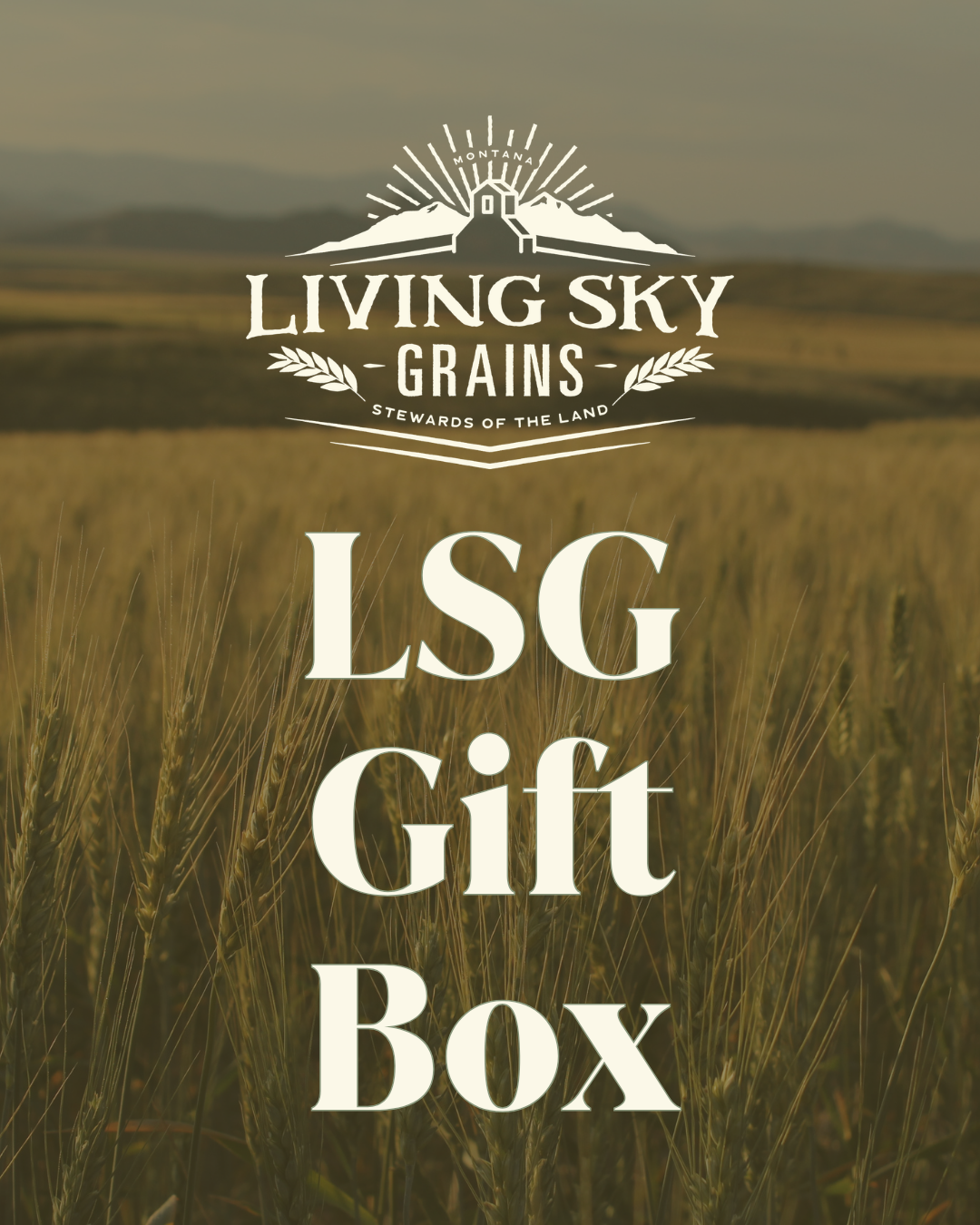 LSG Regenerative Gift Box