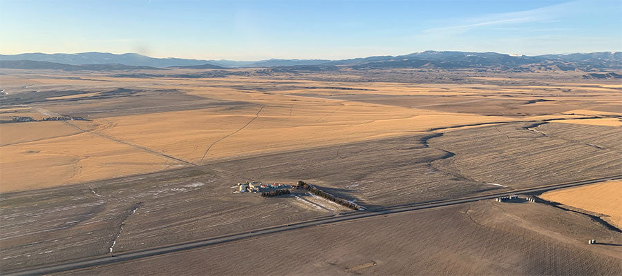 family owned montana wheat farm