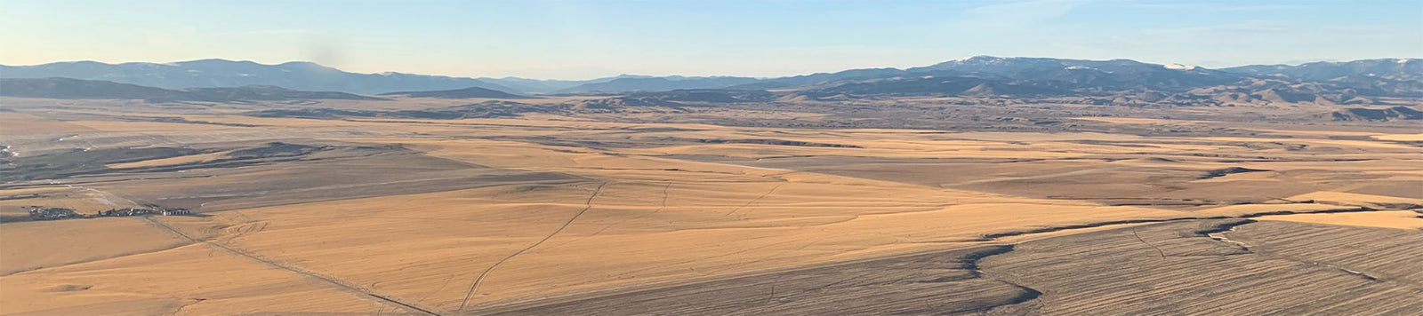 family owned montana wheat farm