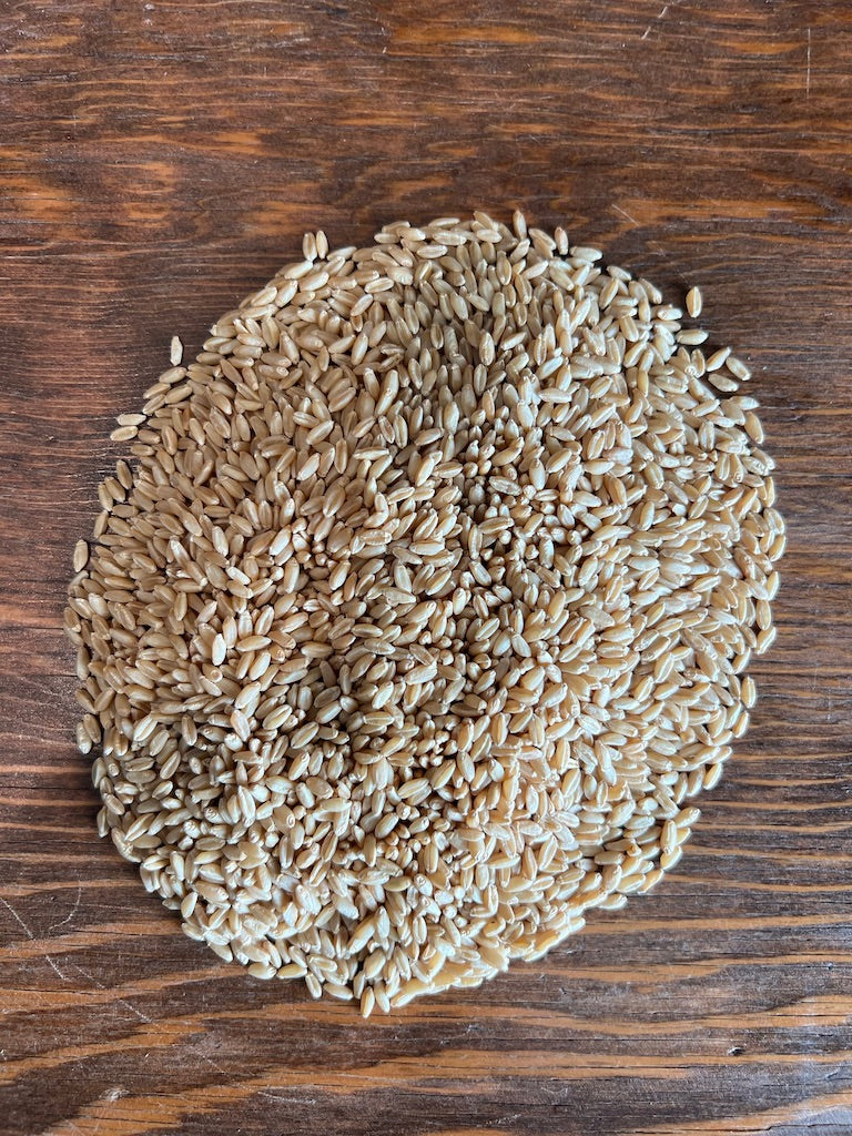 Hard White Wheat Berries