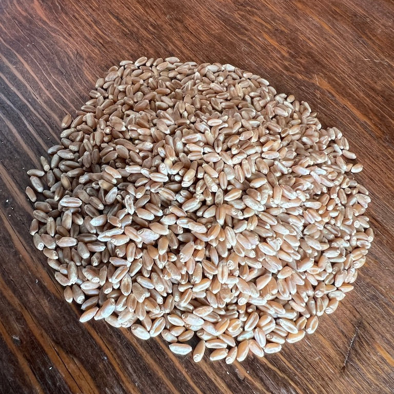 Hard Red Wheat Berries