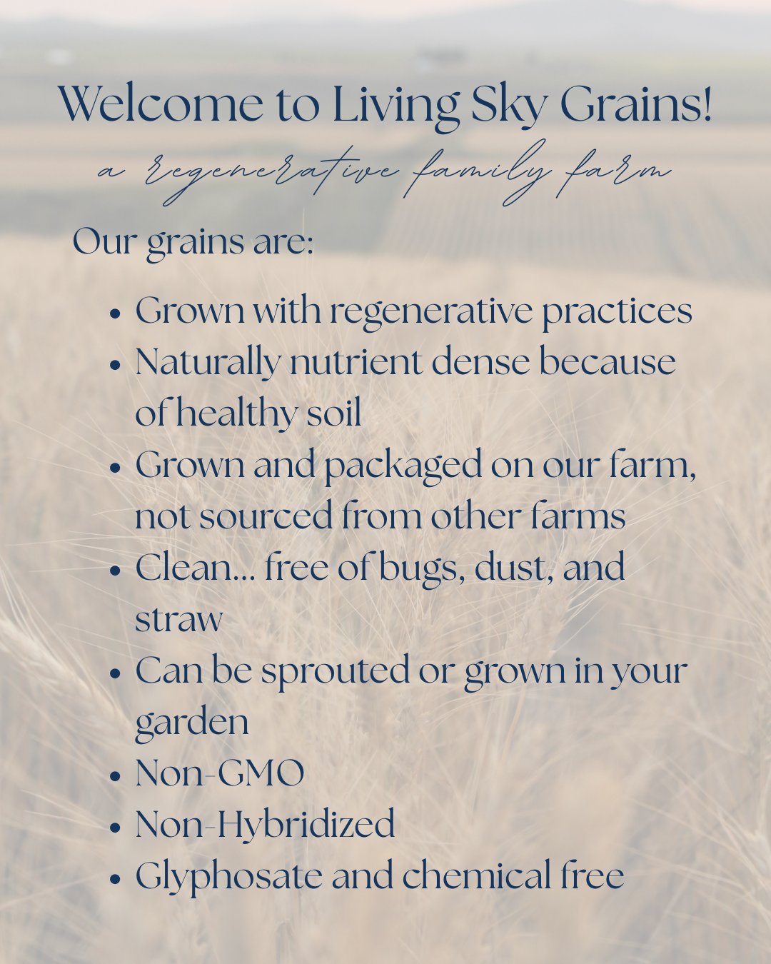 Regenerative Soft White Wheat Berries